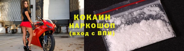 ешки Алексин