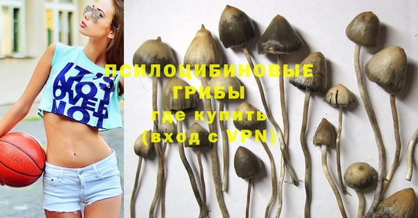 кокс Алзамай