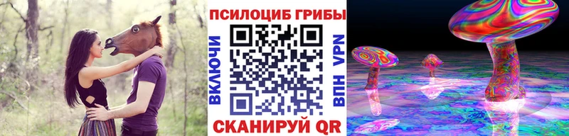 дарнет шоп Лодейное Поле Псилоцибиновые грибы Psilocybine cubensis